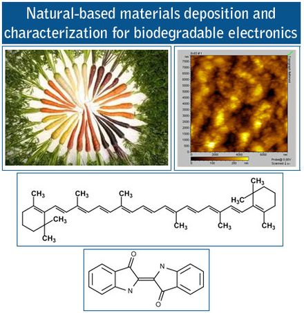 Natural-based materials deposition and characterization for biodegradable electronics: surface image of a biodegradable electronic material and biochemical structures